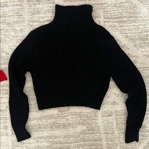 Black Turtleneck Sweater Cropped